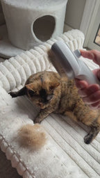 PurrSteam™ 3-in-1 Steaming Pet Brush